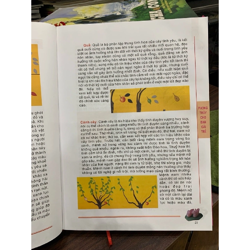 Phong thủy cho bạn gái trẻ tố nữ trạch kinh - Minh Đường 730914