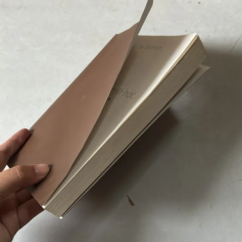 Sự an ủi của Triết học  - Alain de Botton 703601