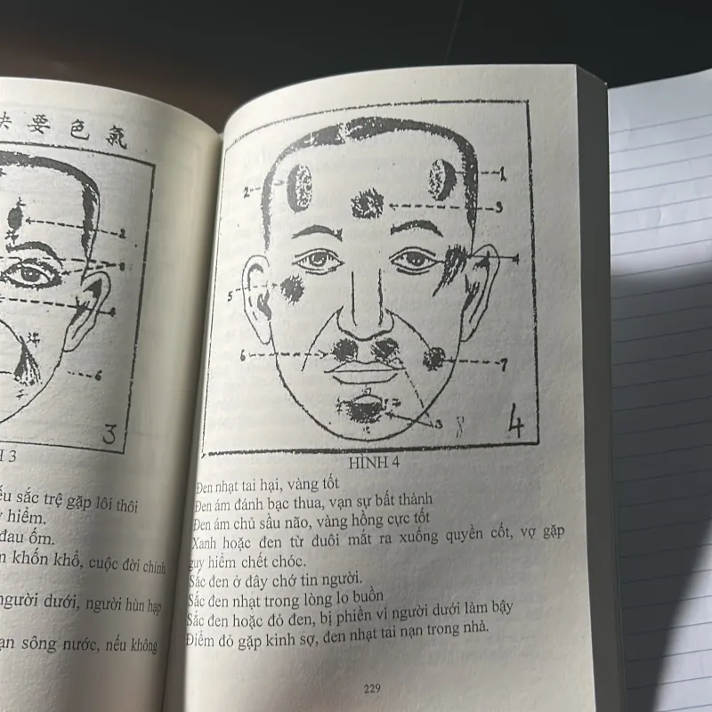 Tướng Mệnh Khảo Luận 753089