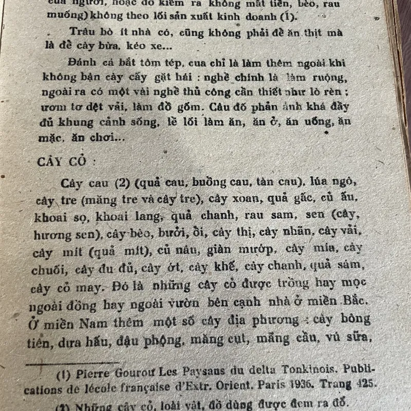 Câu đố Việt Nam : Nguyễn văn Trung; 1986; 500 trang  681727