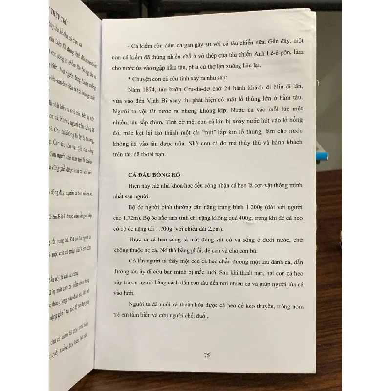 Tò mò đến xứ sở kỳ lạ- Nguyễn Như Mai 600798