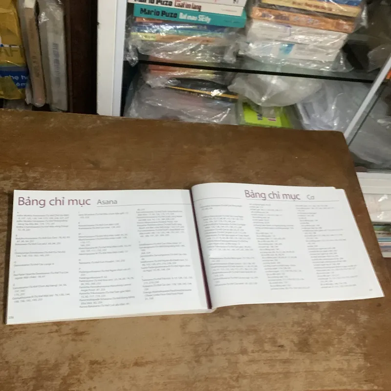 CÁC CƠ CHÍNH TRONG YOGA - RAY LONG  935200