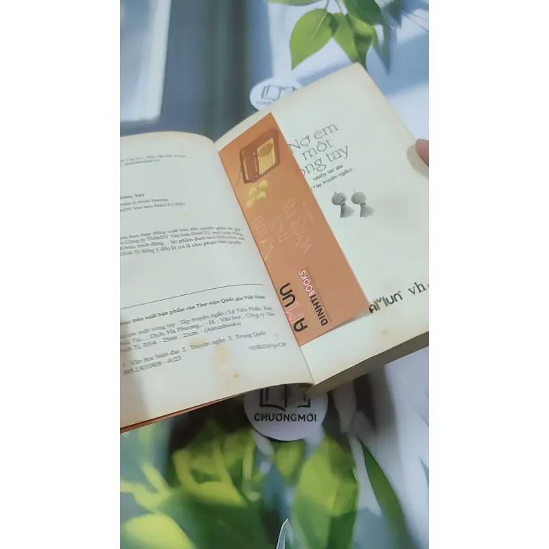 Nợ Em Một Vòng Tay 744713