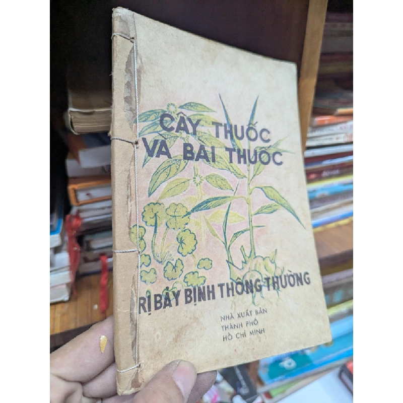 CÂY THUỐC VÀ BÀI THUỐC TRỊ BẢY BỆNH THÔNG THƯỜNG 165023