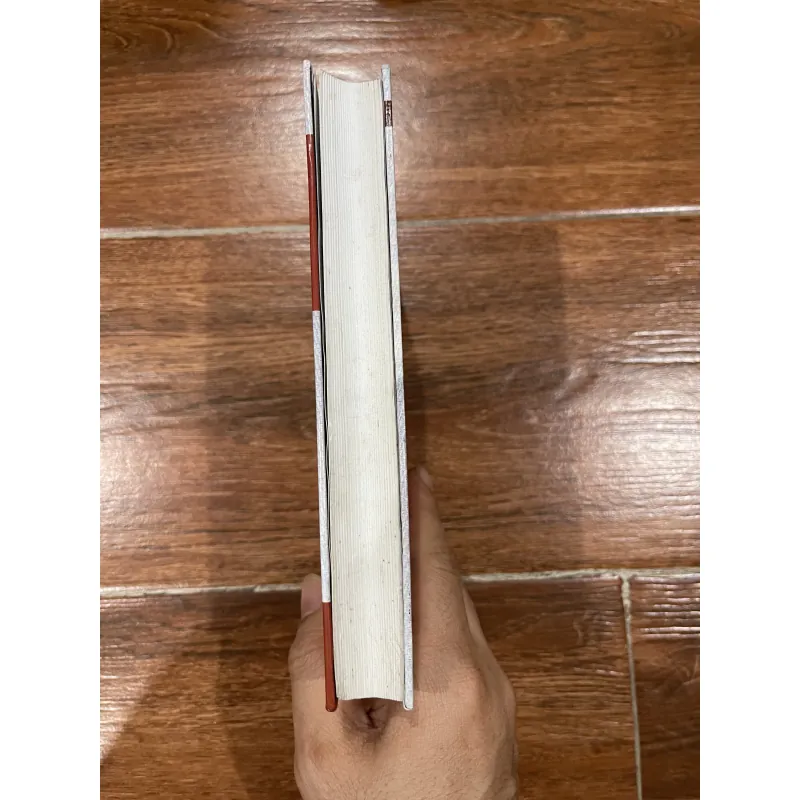 Cuộc đời của luận sư RAJNEESH CHANDRA (10) 715337