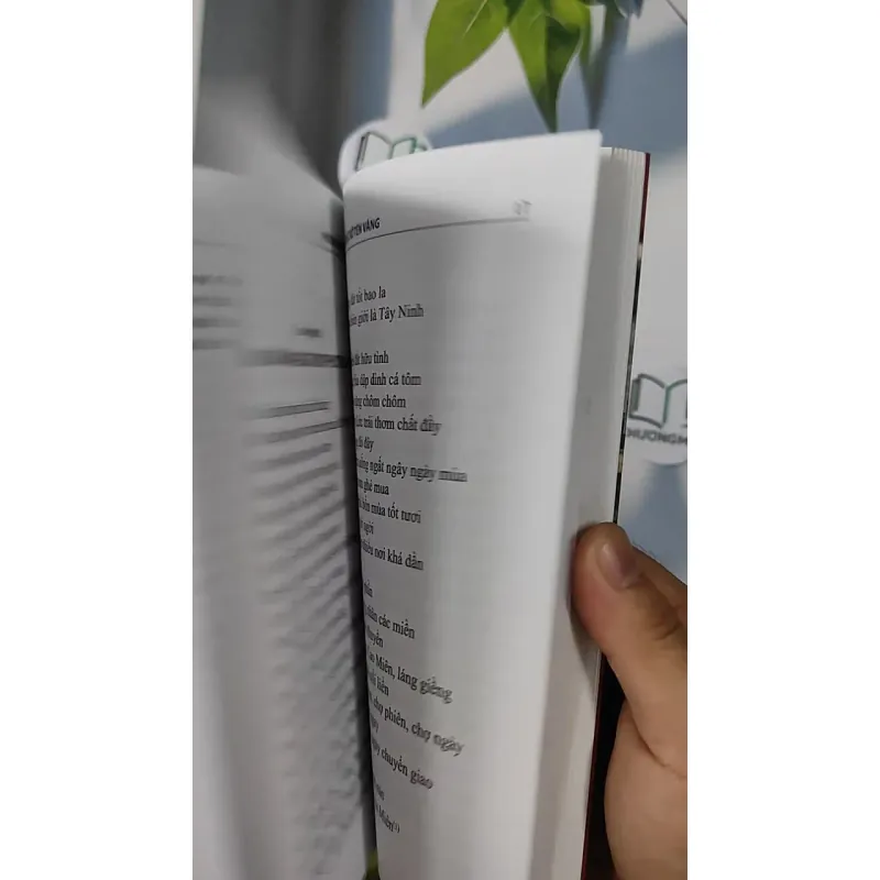 Miền Xuân Rực Rỡ Tên Vàng - Thơ - Phương Danh 798397