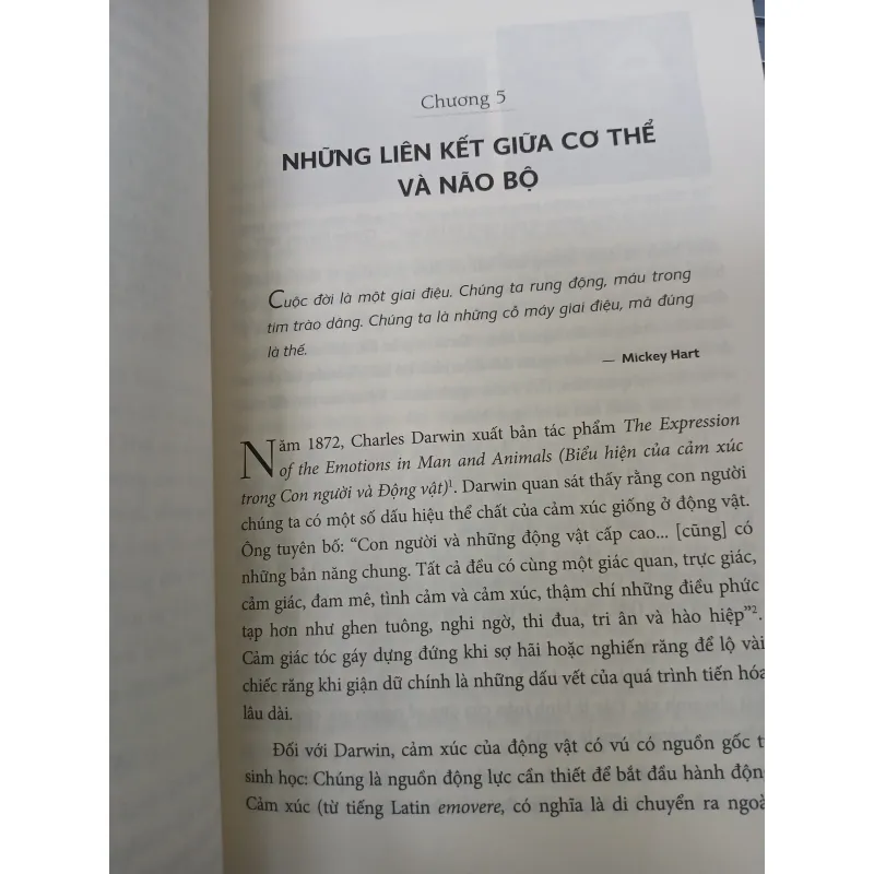 SANG CHẤN TÂM LÝ, HIỂU ĐỂ CHỮA LÀNH - LÊ PHAN NHƯ QUỲNH 744857