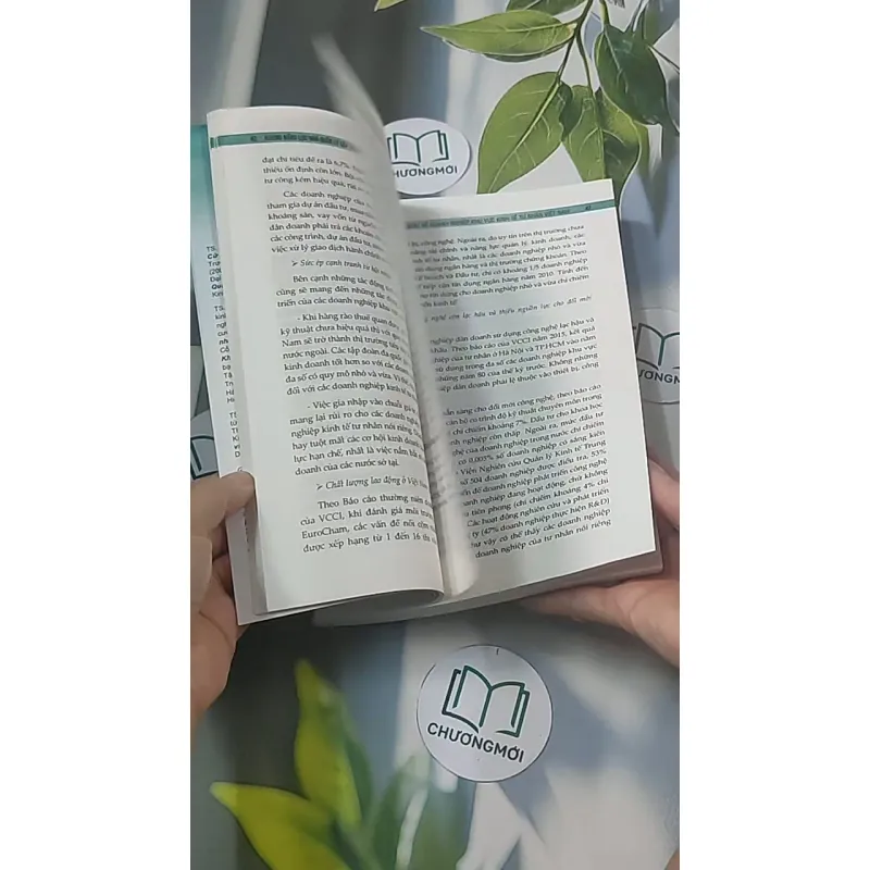 Khung năng lực nhà quản lý cấp trung trong doanh nghiệp khu vực kinh tế tư nhân Việt Nam  688426