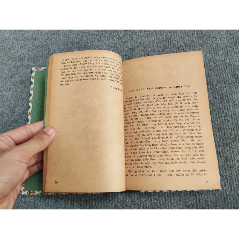 HOA TRÁI ĐẦU MÙA - VĂN HỒNG 568111