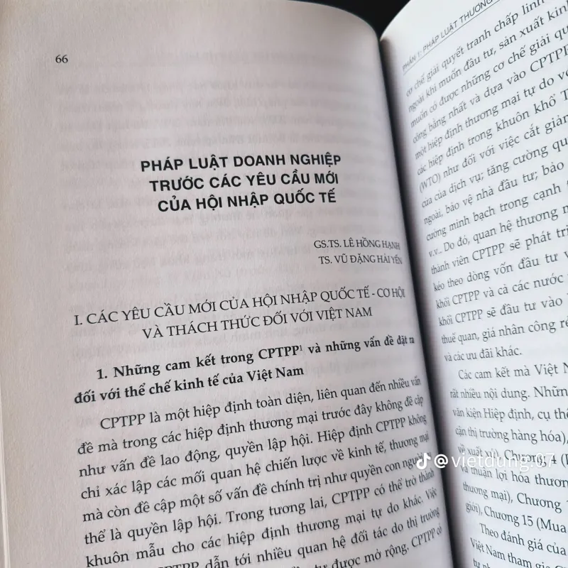 Pháp Luật Kinh Tế Việt Nam Trong Thời Kỳ Đổi Mới 933796