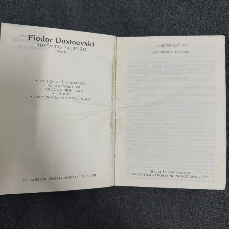 Lũ người quỷ ám - Fyodor Dostoevsky (Đông Tây) 782443