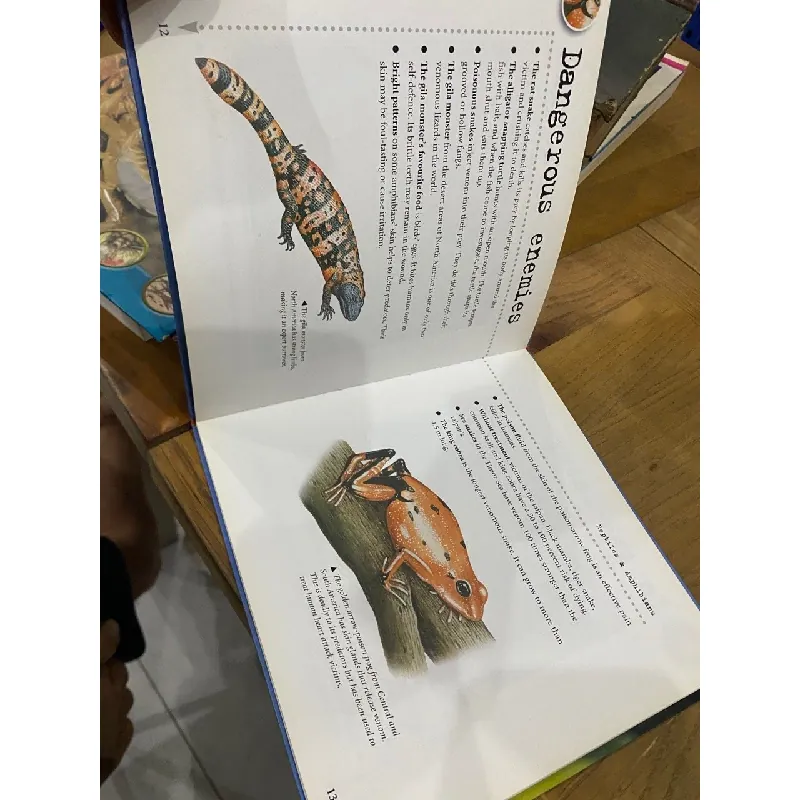 Bulletpoints about Animals 563589