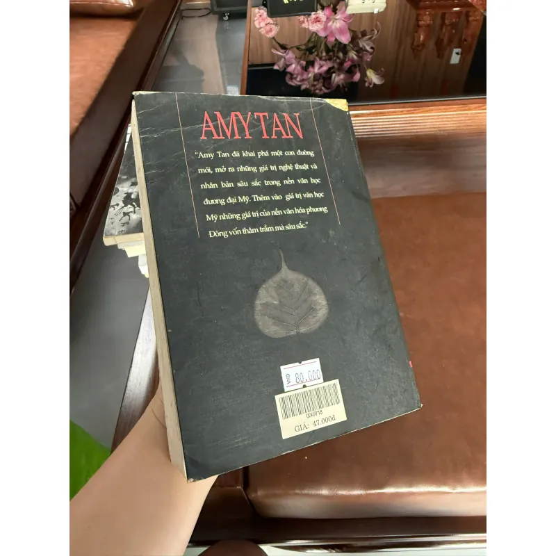CON GÁI THẦY LANG – AMY TAN | TIỂU THUYẾT VĂN HỌC NƯỚC NGOÀI ĐẶC SẮC 976001