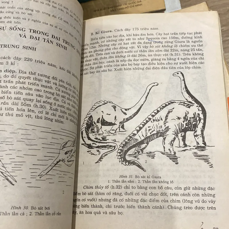 SINH HỌC 12 (XB 2002) 994050