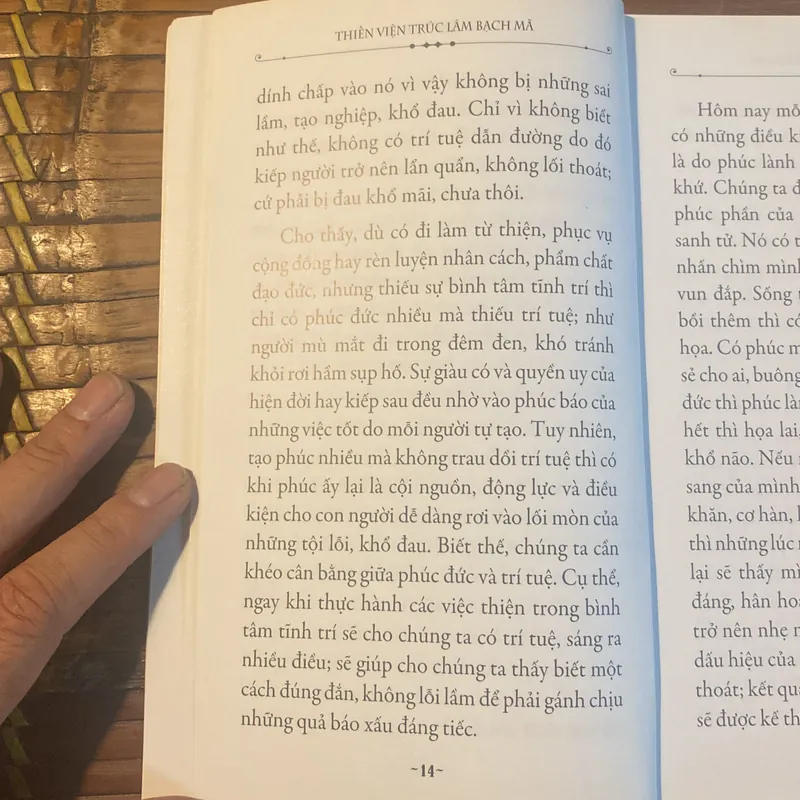Trí Tuệ - HT Thích Tâm Hạnh - Thiền Viện Trúc Lâm Bạch Mã 604123