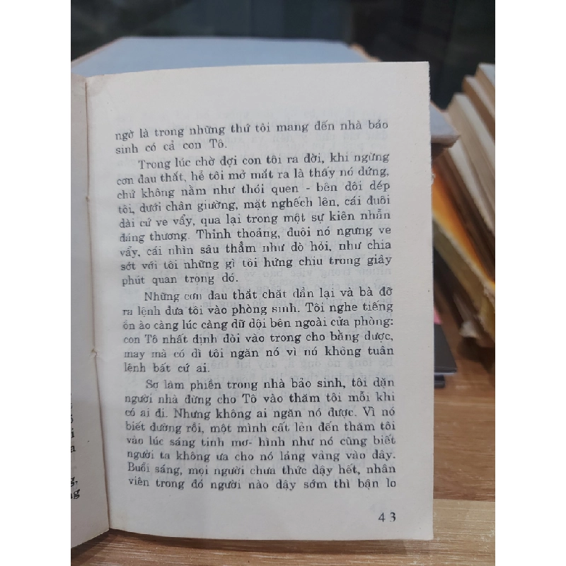 VỀ THĂM THẦY CŨ – MINH QUÂN 529378