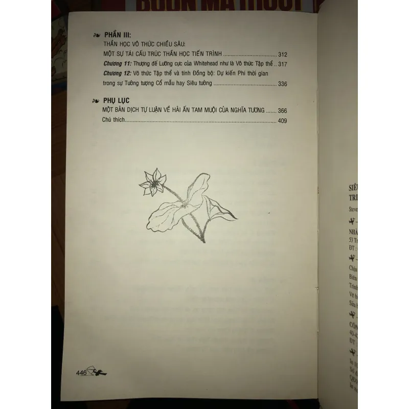 Siêu hình học tiến trình & triết học Phật giáo Hoa Nghiêm Tông  593958