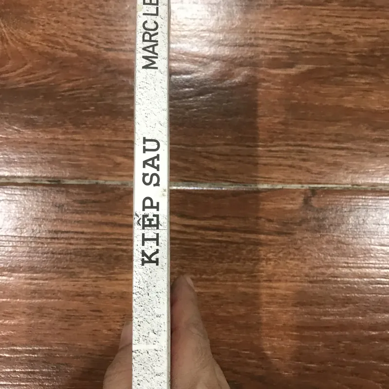 Kiếp sau - Marc Levy (15) 645533