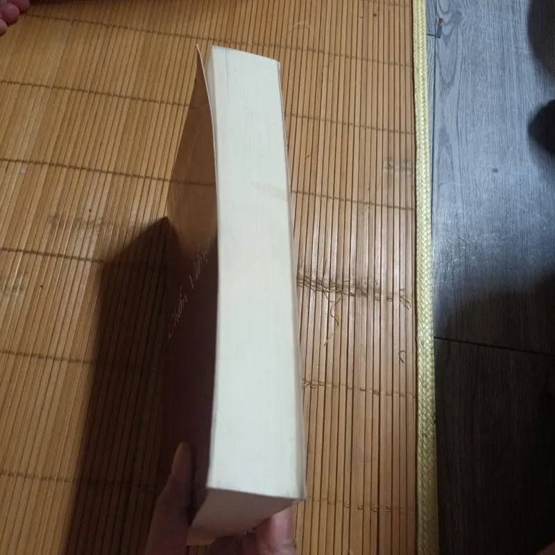 Chốn Vắng - Dương Thu Hương 1043502