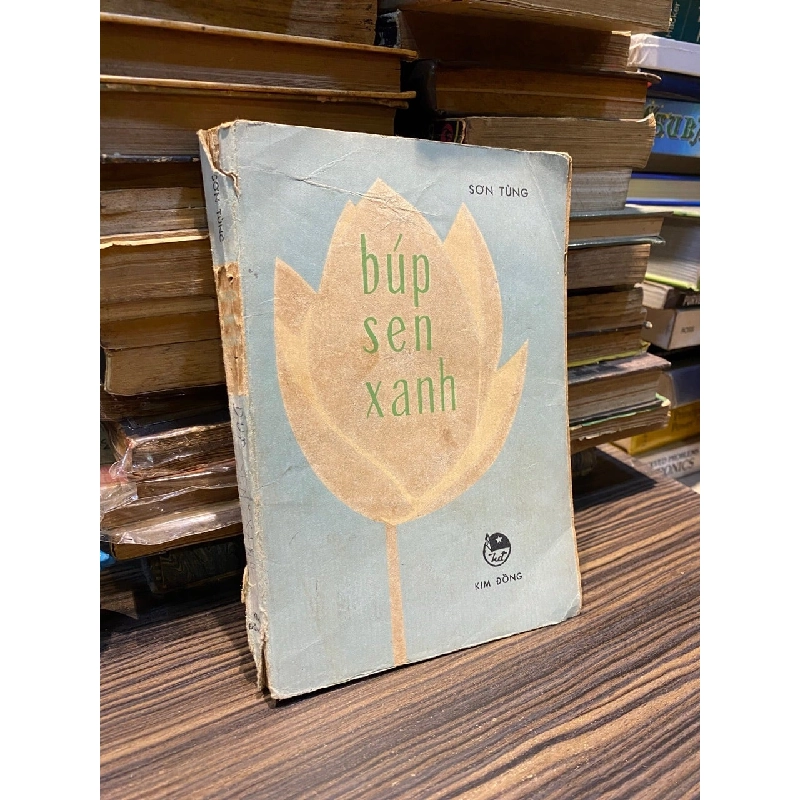 Búp Sen Xanh - Sơn Tùng 128894