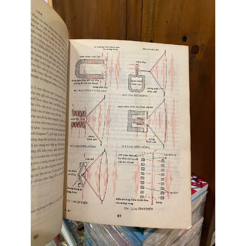 Bách vật diễn giải 601878