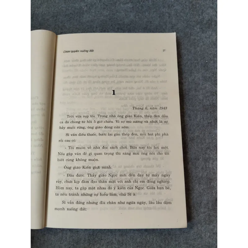 CHIM QUYÊN XUỐNG ĐẤT - SƠN NAM 718933