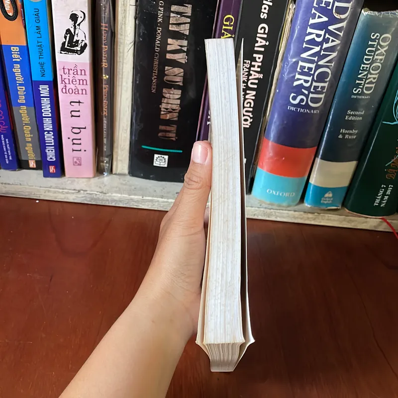 II Tựa sách: Để Có Một Tương Lai - Nhất Hạnh - Lá Bối 558045