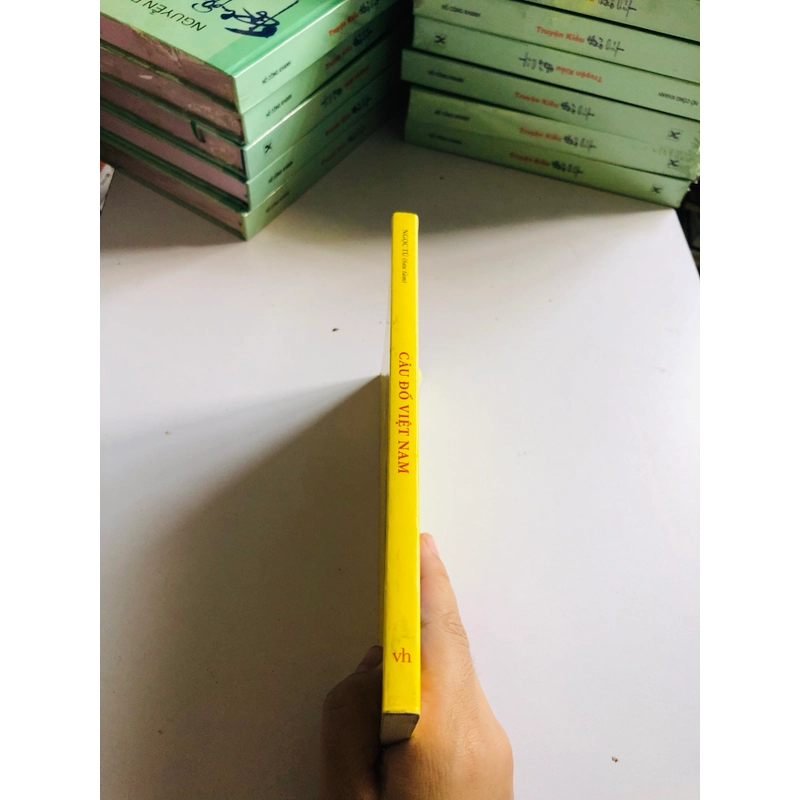 CÂU ĐỐ VIỆT NAM - 188 trang, nxb: 2016 540877
