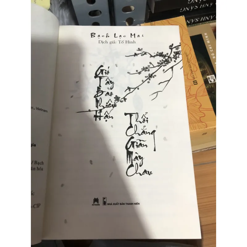 Gió tây bao nhiêu hận, thổi chẳng giãn mày chau 990597