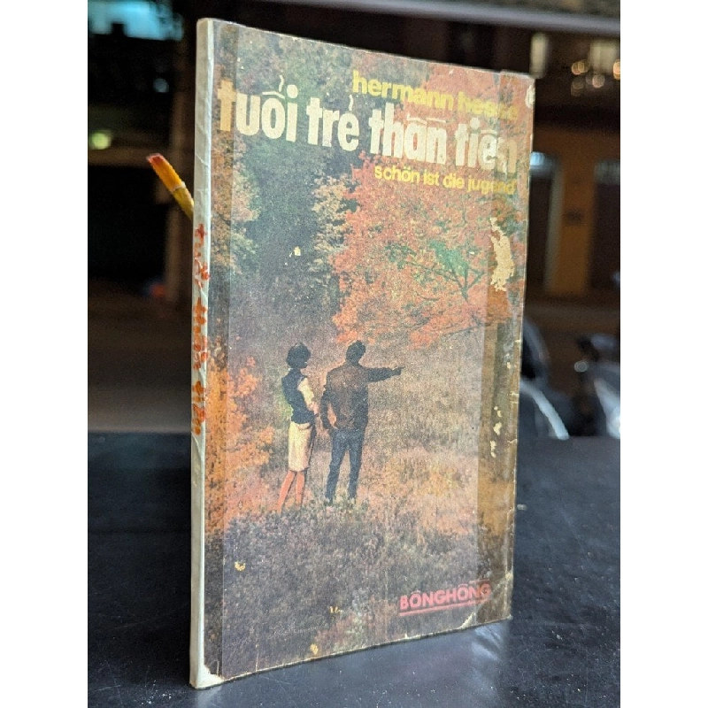 Tuổi trẻ thần tiên - Hermann Hesse ( bản dịch của Bùi Quang Đông ) 740232