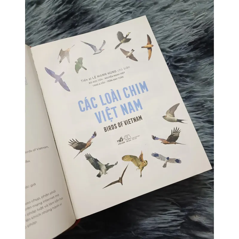 Các loài chim Việt Nam (Lê Mạnh Hùng) 736184