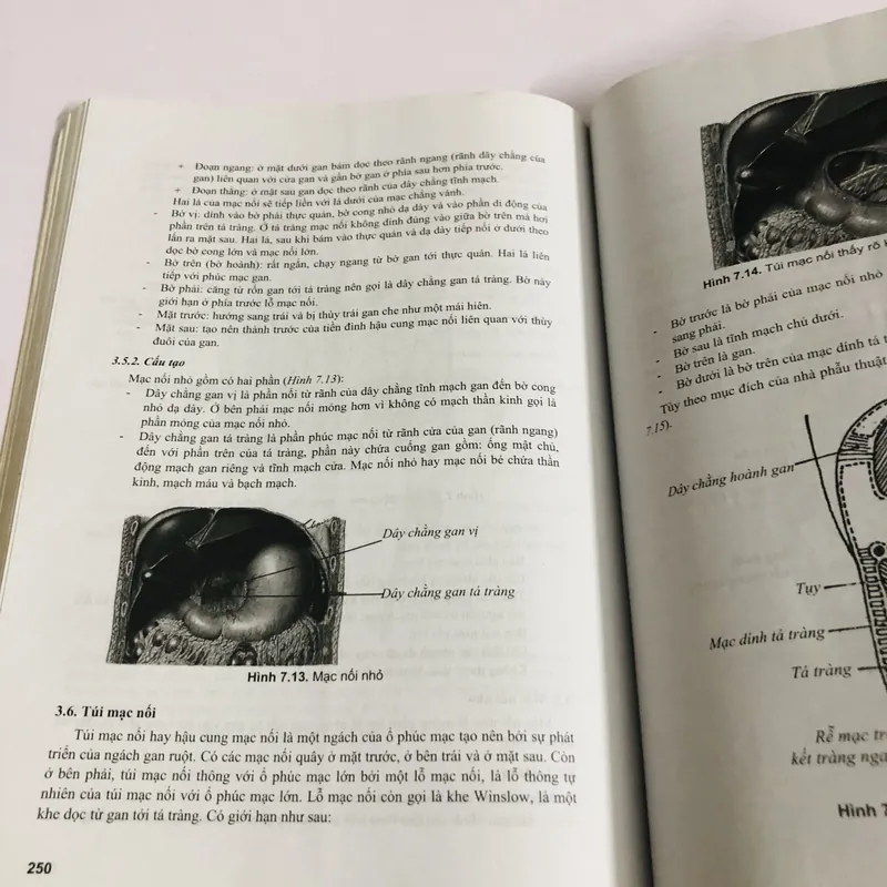 GIẢI PHẪU HỌC HỆ THỐNG  675342