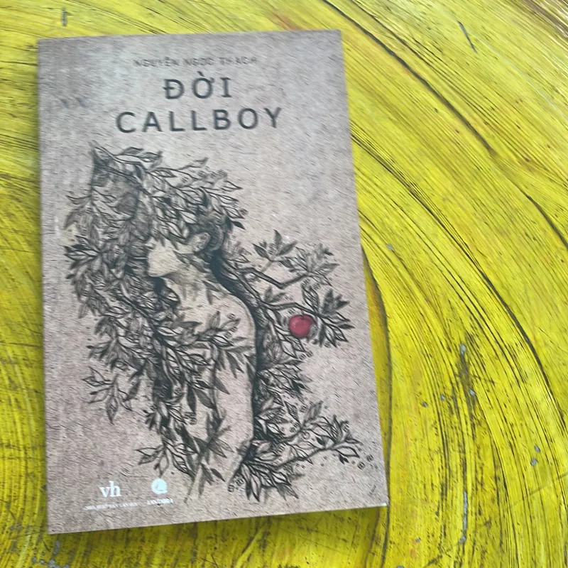 ĐỜI CALLBOY- NGUYỄN NGỌC THẠCH- văn học 2016 738013