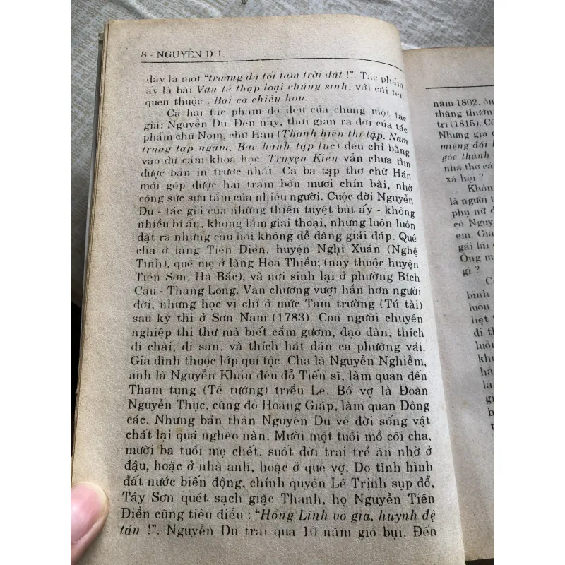 Phê bình-bình luận văn học Nguyễn Du 971171