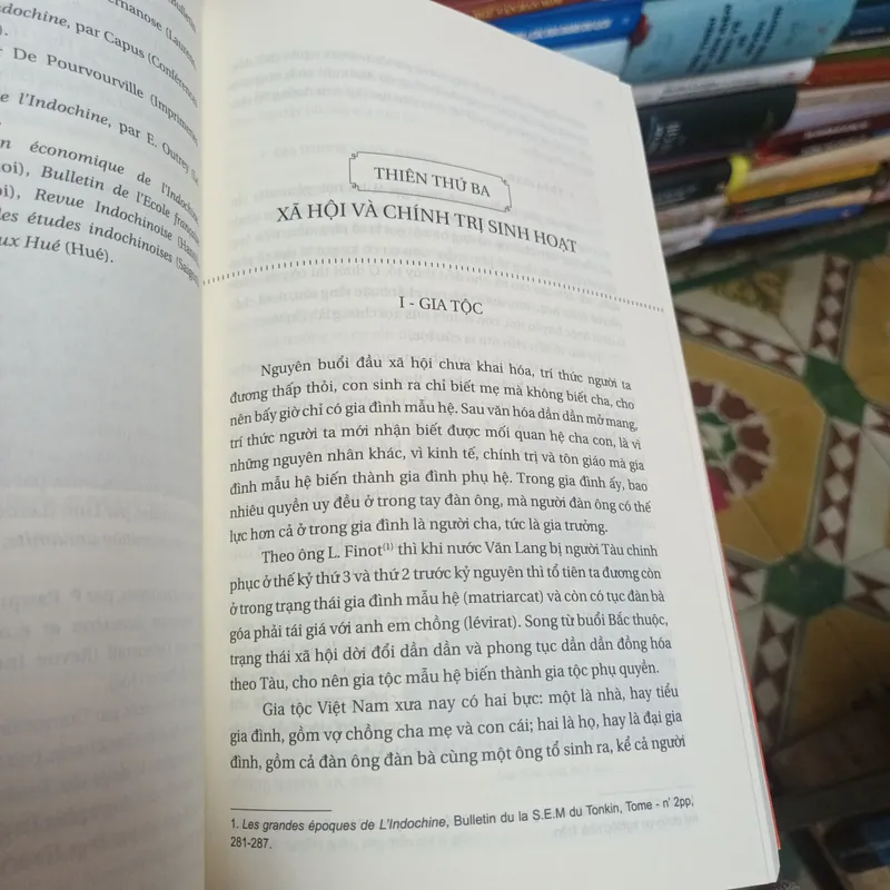 Việt Nam Văn Hóa Sử Cương- Vệ Thạch Đào Duy Anh 680053