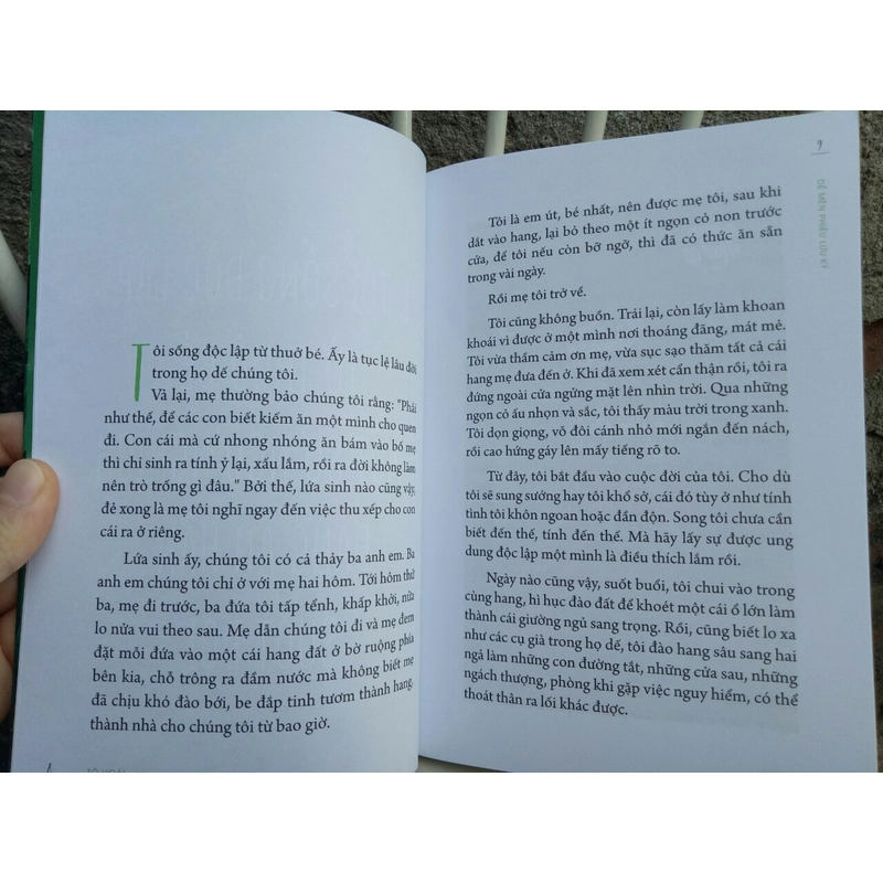Dế mèn phiêu lưu ký 539475