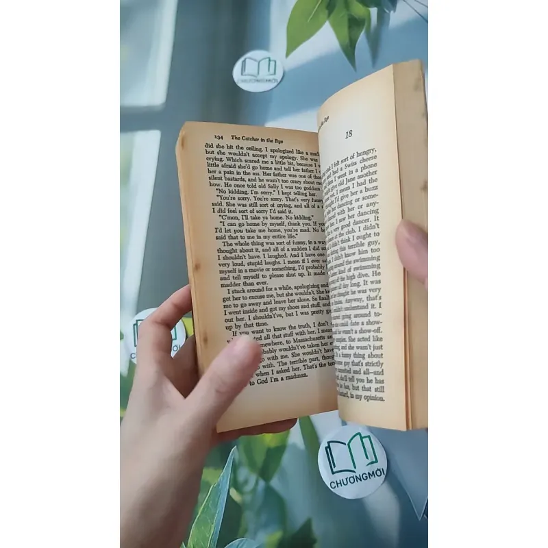 [MIỄN PHÍ BỌC SÁCH] [XƯA] The Catcher in the Rye (1951) - J. D. Salinger 1027211