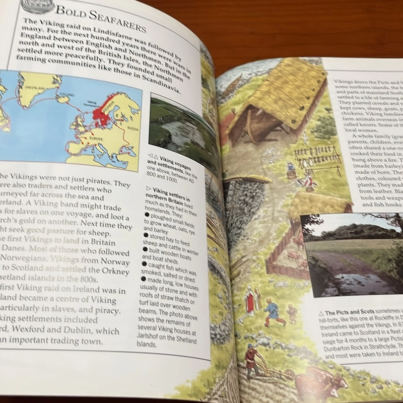 PICTURE BOOK The Saxons & Vikings 536307