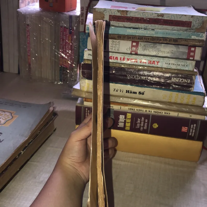 Bóng ma trong rừng Mỹ Châu 992440