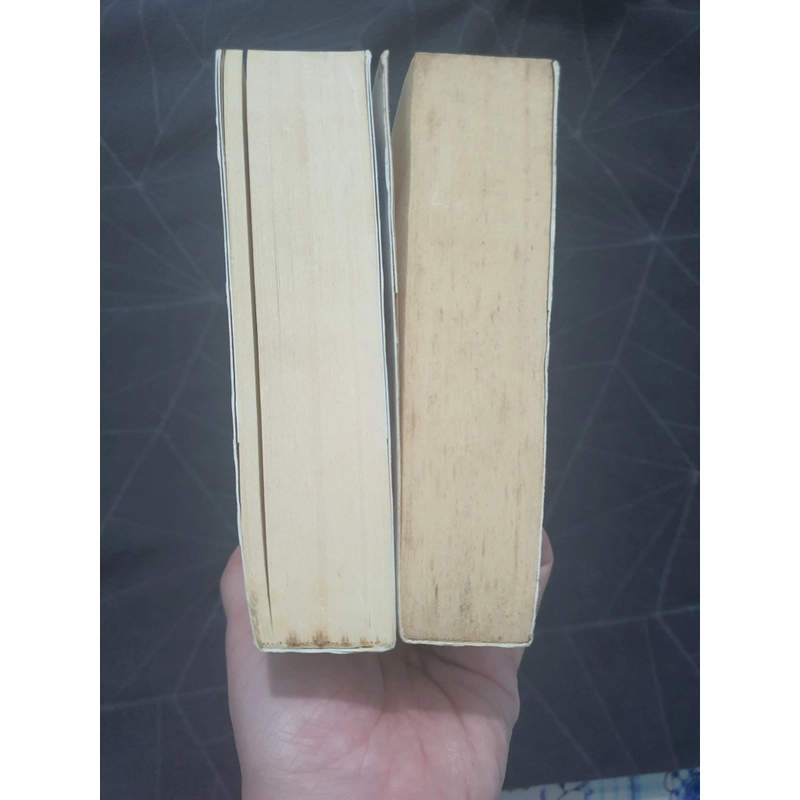 Combo "Hoa sen xanh" 2 tập - Chương Xuân Dị 470417