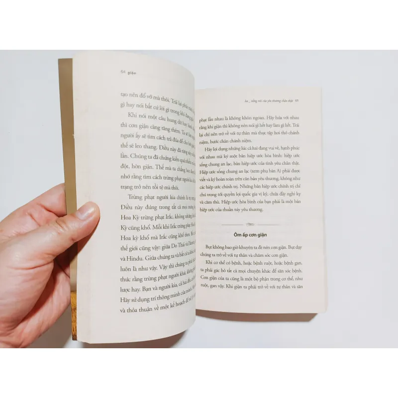 Giận - Thích Nhất Hạnh 797280