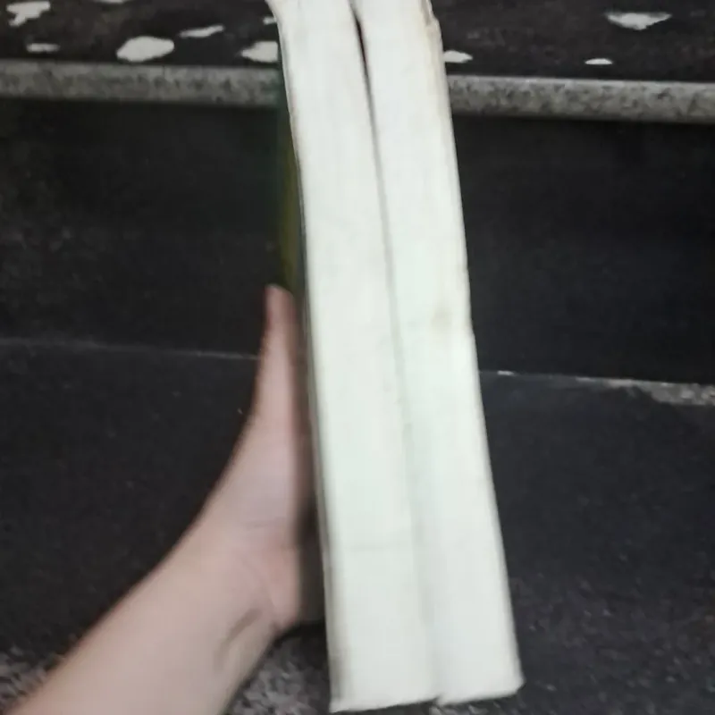 Tình sử Mạnh Lệ Quyên- tái sinh duyên 1029429