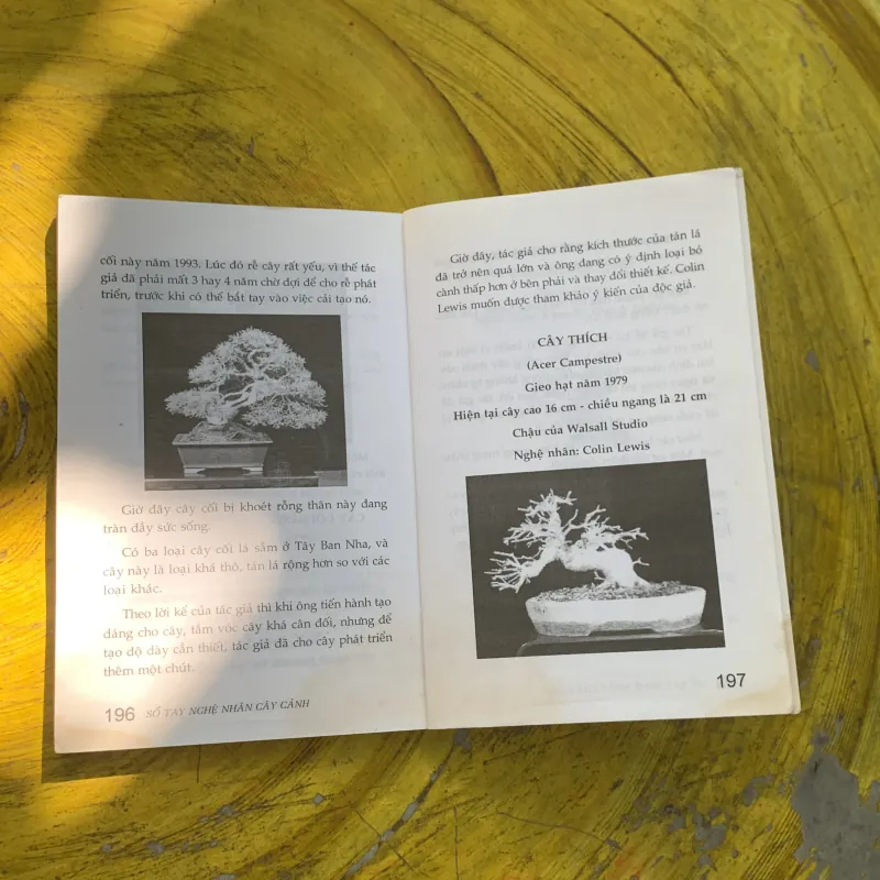 COMBO CẨM NANG BONSAI & SỔ TAY NGHỆ NHÂN CÂY CẢNH  790214