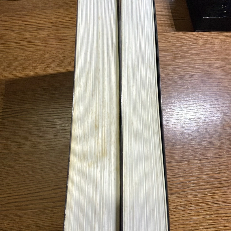 Hòn tuyết lăn tập 1 và 2 Alice Schroeder 370467