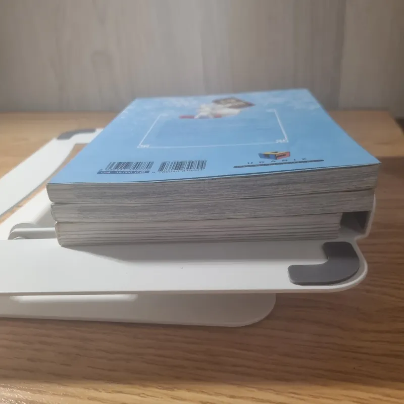 [Combo BL] Lạc Tuyết Thành Bạch (Tập 1 & 2) + Nhật ký đầu gấu 762393