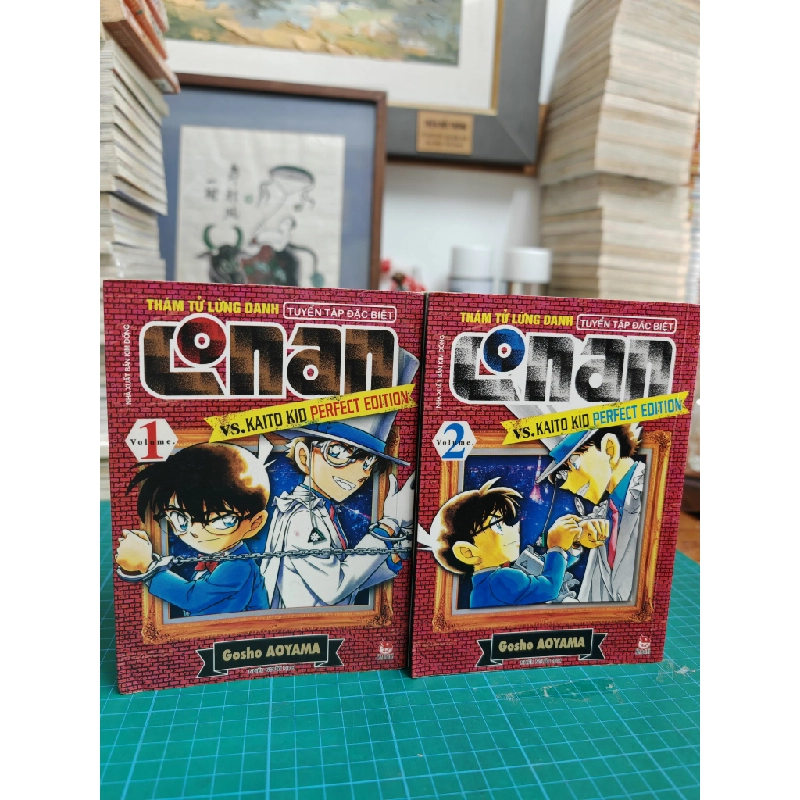 Truyện tranh thám tử lừng danh conan tuyển tập đặc biệt 492584