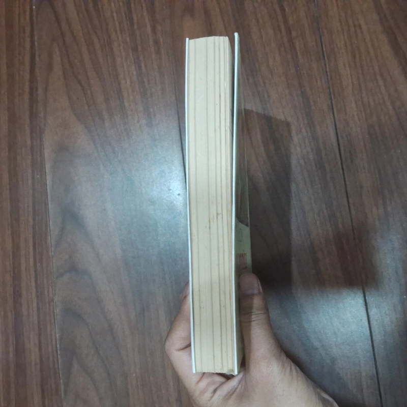 300 thang thuốc bổ nổi tiếng 545599