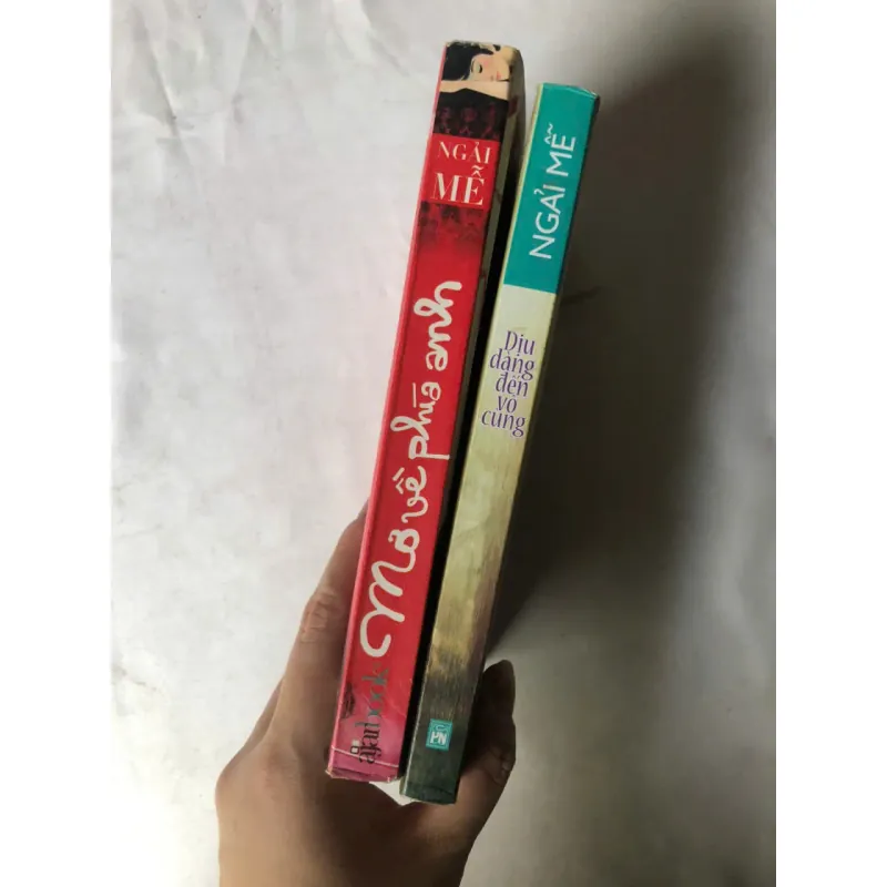 Combo 2 quyển của Ngải Mễ: Dịu dàng đến vô cùng & Mơ về phía anh 1051040
