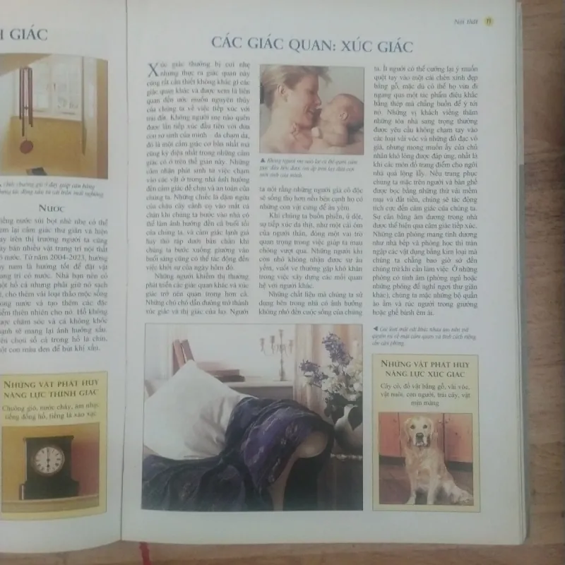 Phong thủy Nghệ thuật bài trí nhà cửa theo khoa học phương đông 1007222