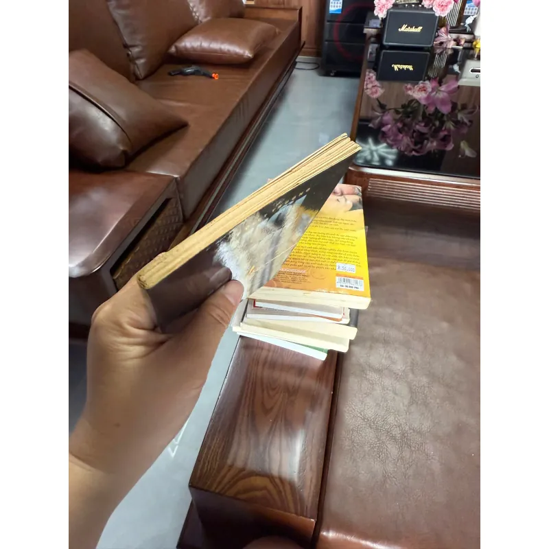 Buổi chiều muộn” – Khuê Việt Trường 975418